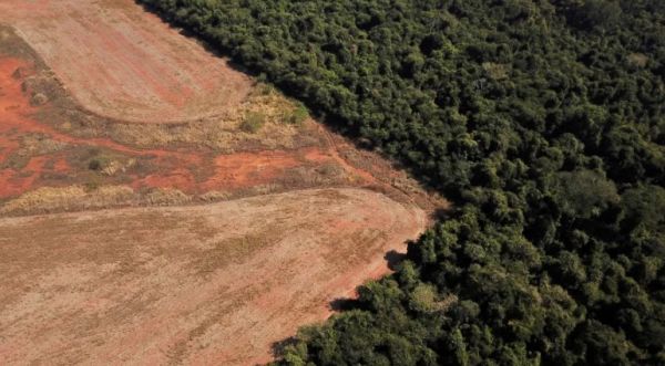 Desmatamento no 1º trimestre de Lula bate recorde no cerrado e tem segundo pior índice na Amazônia