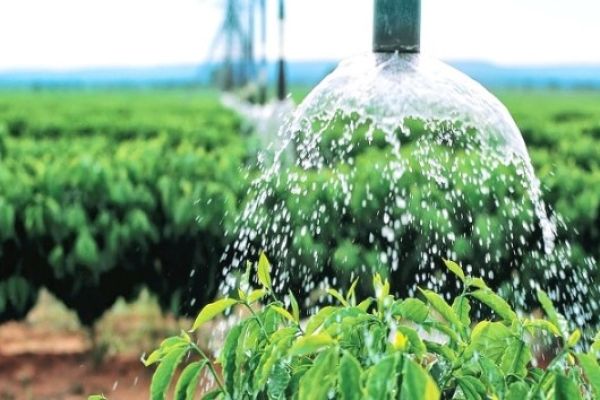 Governo do RN planeja cobrar por água e medida pode afetar agroindústria