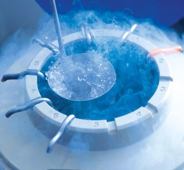 STJ determina que planos de saúde custeiem congelamento de óvulos