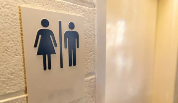 Conselho do governo Lula orienta que escolas permitam uso de banheiro de acordo com identidade de gênero