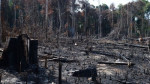 Fevereiro teve recorde histórico de queimadas na Amazônia, aponta Inpe