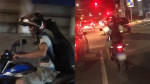 Bode pega carona com motociclista pelas ruas de Maceió; VEJA VÍDEO