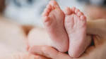 Assistolia fetal: procedimento usado para abortar bebês é ‘método inaceitável’ para eutanásia de animais