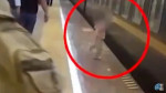 Vídeo: criança cai em vão de trem e é salva em menos de 20 segundos