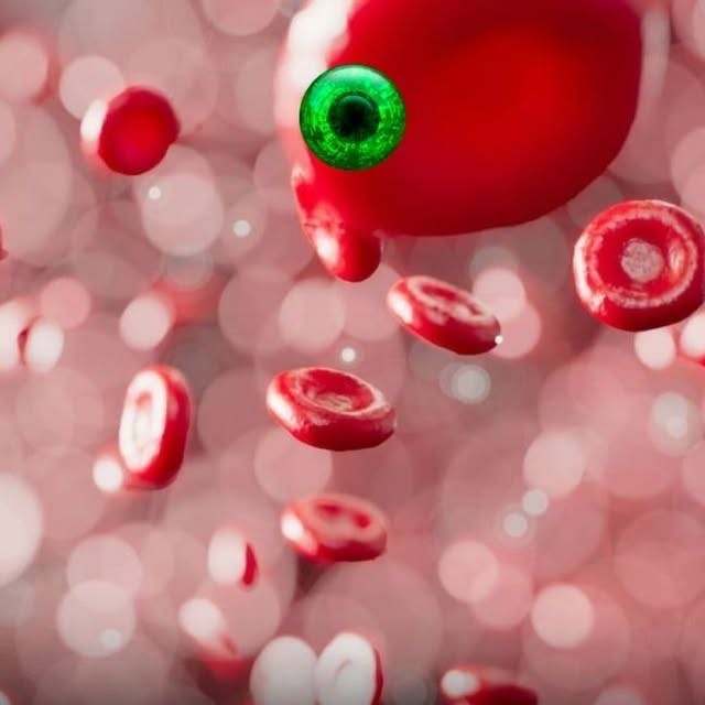 Reprodução: Anirudh/Unsplash